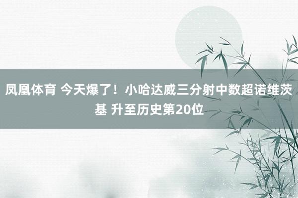 凤凰体育 今天爆了！小哈达威三分射中数超诺维茨基 升至历史第20位