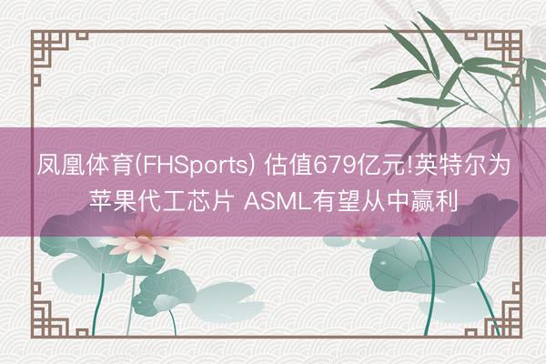 凤凰体育(FHSports) 估值679亿元!英特尔为苹果代工芯片 ASML有望从中赢利