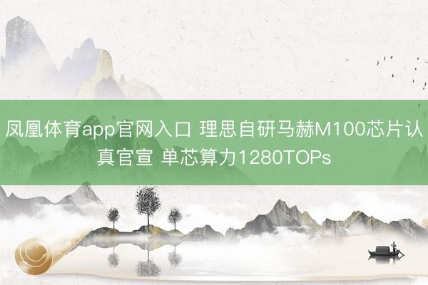 凤凰体育app官网入口 理思自研马赫M100芯片认真官宣 单芯算力1280TOPs