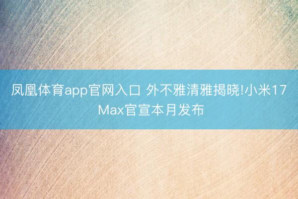 凤凰体育app官网入口 外不雅清雅揭晓!小米17 Max官宣本月发布