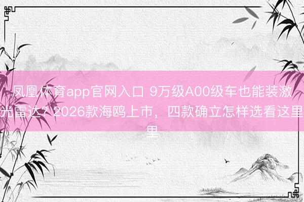 凤凰体育app官网入口 9万级A00级车也能装激光雷达? 2026款海鸥上市，四款确立怎样选看这里