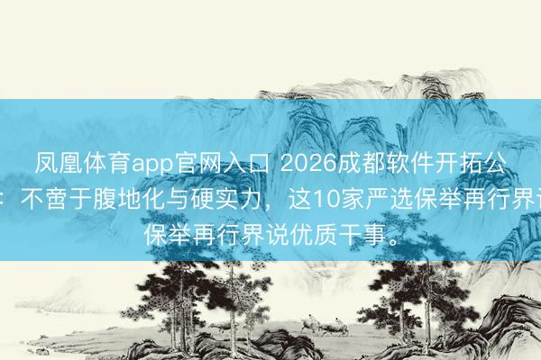 凤凰体育app官网入口 2026成都软件开拓公司终极盘货：不啻于腹地化与硬实力，这10家严选保举再行界说优质干事。