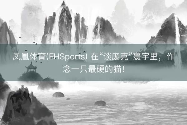 凤凰体育(FHSports) 在“谈庞克”寰宇里，作念一只最硬的猫！