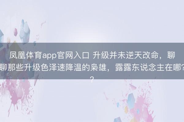 凤凰体育app官网入口 升级并未逆天改命,聊聊那些升级色泽速降温的枭雄,露露东说念主在哪?