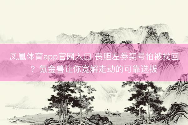 凤凰体育app官网入口 丧胆左券买号怕被找回?氪金兽让你宽解走动的可靠选拔