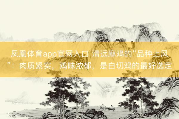 凤凰体育app官网入口 清远麻鸡的“品种上风”：肉质紧实，鸡味浓郁，是白切鸡的最好选定