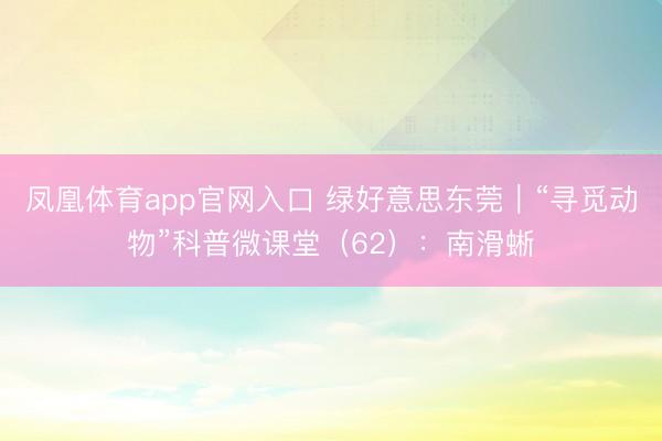 凤凰体育app官网入口 绿好意思东莞|“寻觅动物”科普微课堂(62):南滑蜥