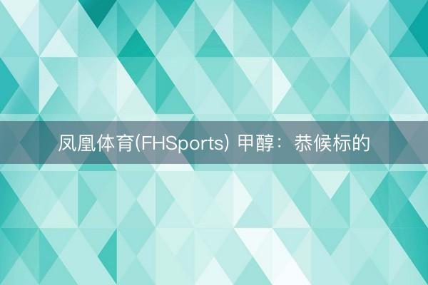 凤凰体育(FHSports) 甲醇：恭候标的
