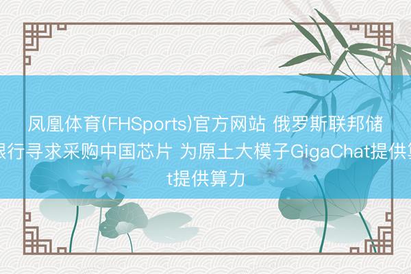 凤凰体育(FHSports)官方网站 俄罗斯联邦储蓄银行寻求采购中国芯片 为原土大模子GigaChat提供算力