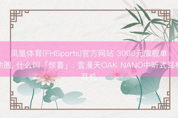 凤凰体育(FHSports)官方网站 3000元旗舰单动圈， 什么叫「惊喜」: 雪漫天OAK NANO中听式耳机