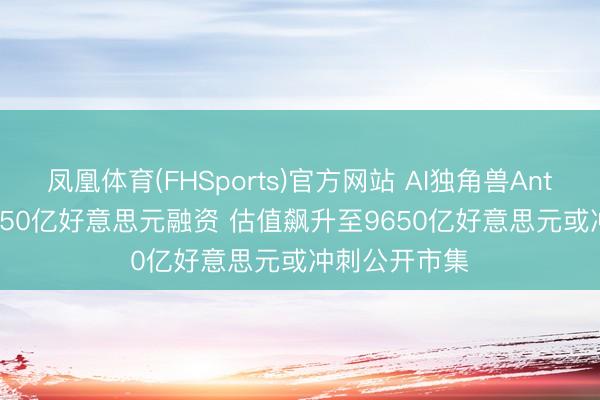 凤凰体育(FHSports)官方网站 AI独角兽Anthropic斩获650亿好意思元融资 估值飙升至9650亿好意思元或冲刺公开市集