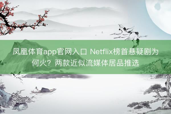 凤凰体育app官网入口 Netflix榜首悬疑剧为何火？两款近似流媒体居品推选