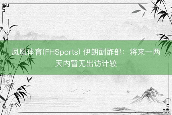 凤凰体育(FHSports) 伊朗酬酢部：将来一两天内暂无出访计较