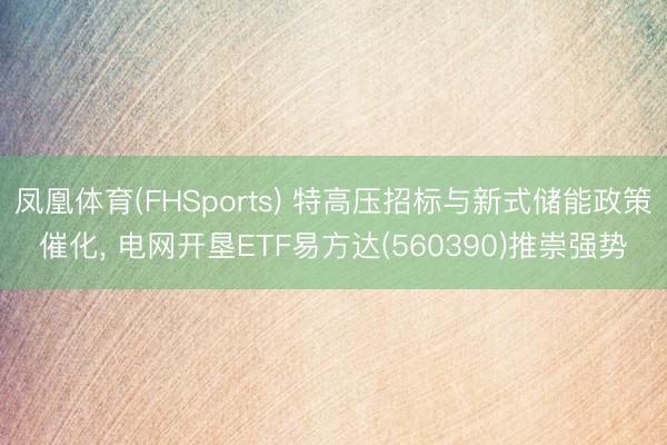 凤凰体育(FHSports) 特高压招标与新式储能政策催化， 电网开垦ETF易方达(560390)推崇强势